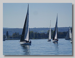 P1253853