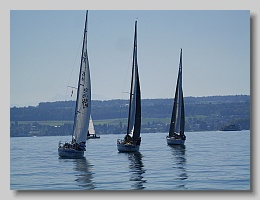 P1253859
