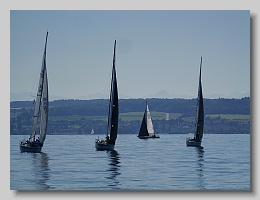 P1253861