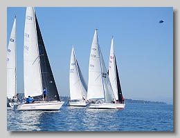 P1253885