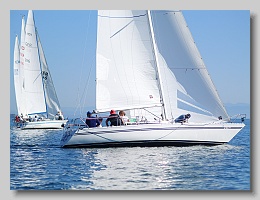 P1253886