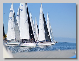 P1253889