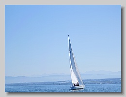 P1253894