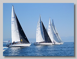 P1253895