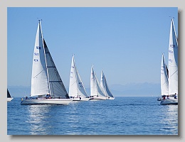 P1253897
