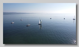DJI_0447