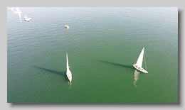 DJI_0452