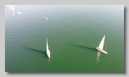 DJI_0453