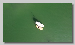 DJI_0454