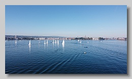 DJI_0466