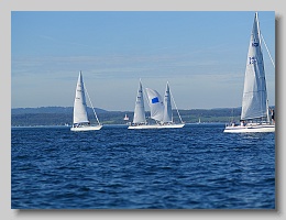 P1263944