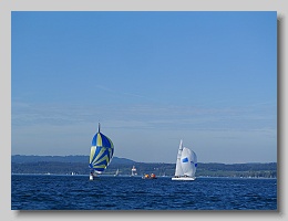 P1263947