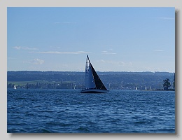 P1263949