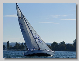 P1263952
