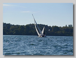 P1263953