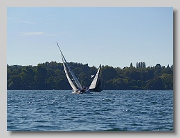 P1263954