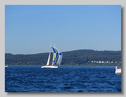 P1263959