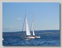 P1263974