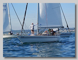 P1263976