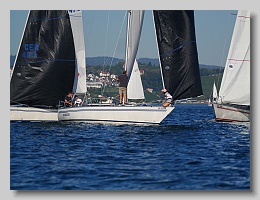 P1263989