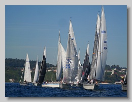 P1263991