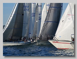 P1263994