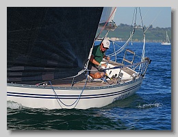 P1263995