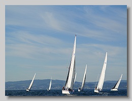 P1264066
