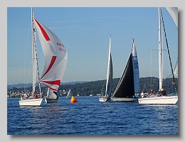 P1264084