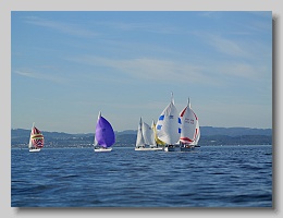 P1264093