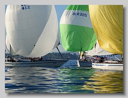 P1264108