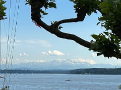 IMG-20250605-WA0042