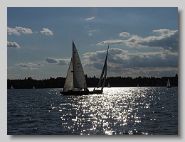 IMG_4705