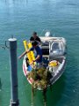 IMG-20250630-WA0024