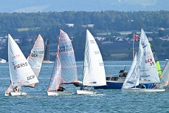 SVS Stadtmeisterschaft Samstag 2025-07